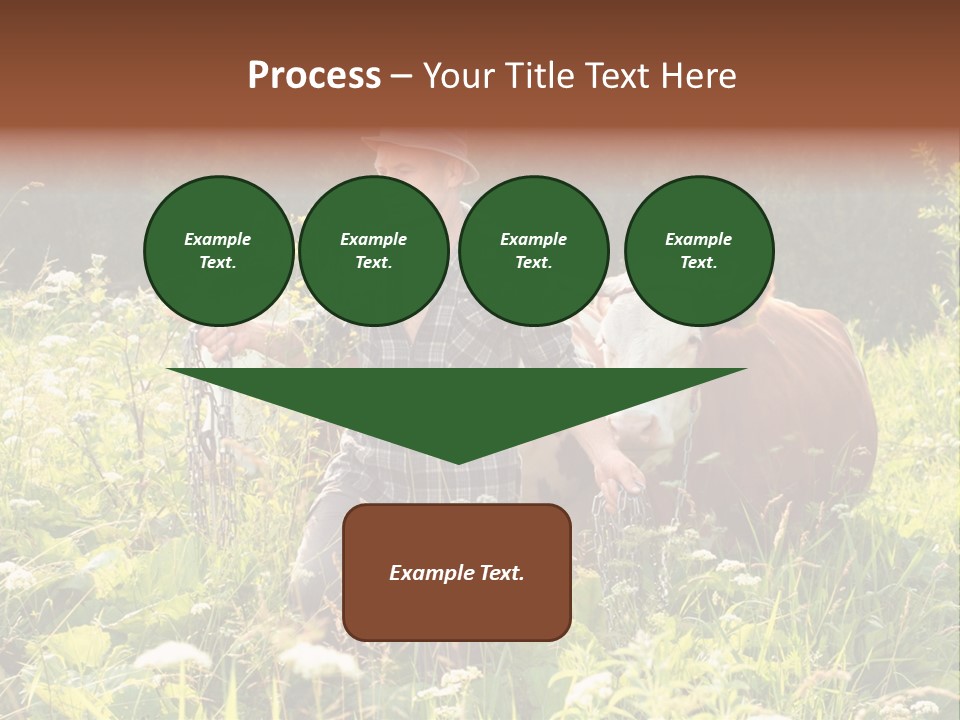 A Man Standing In A Field With A Cow PowerPoint Template