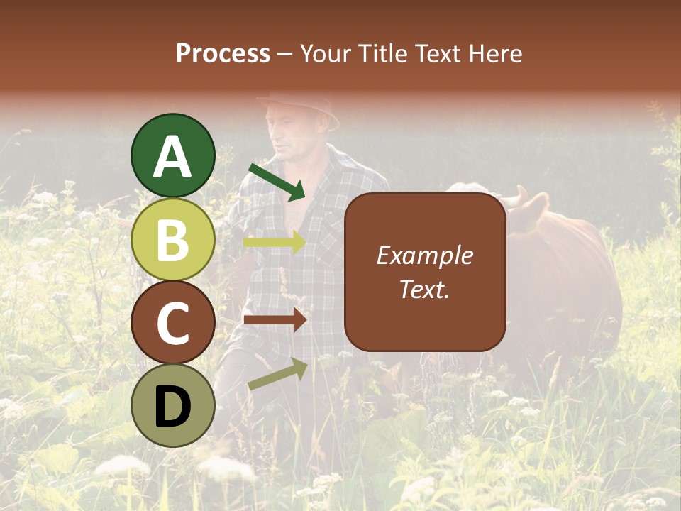 A Man Standing In A Field With A Cow PowerPoint Template