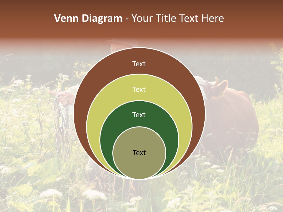 A Man Standing In A Field With A Cow PowerPoint Template