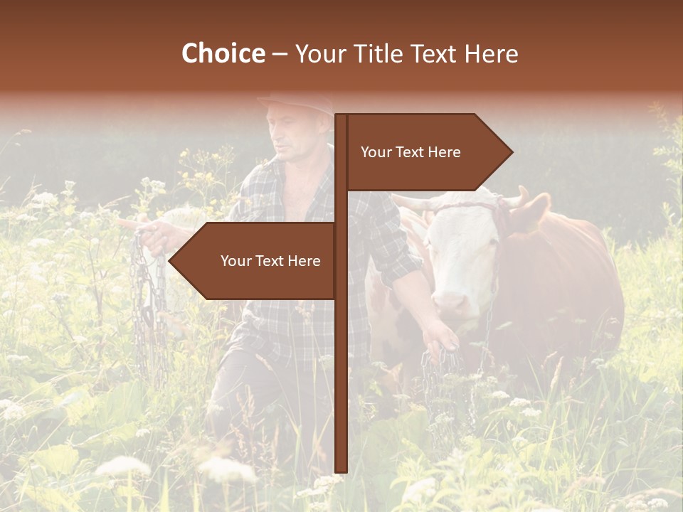 A Man Standing In A Field With A Cow PowerPoint Template