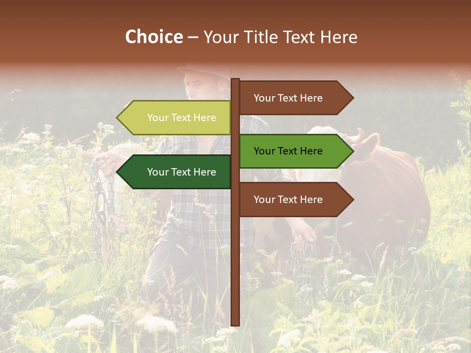 A Man Standing In A Field With A Cow PowerPoint Template