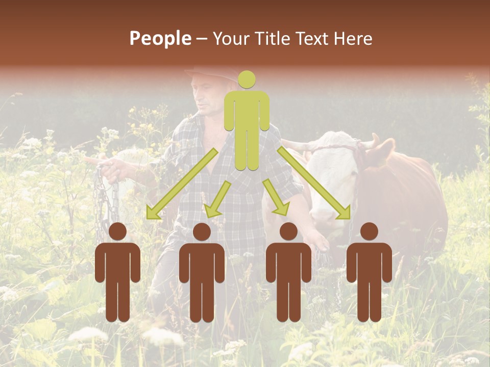 A Man Standing In A Field With A Cow PowerPoint Template