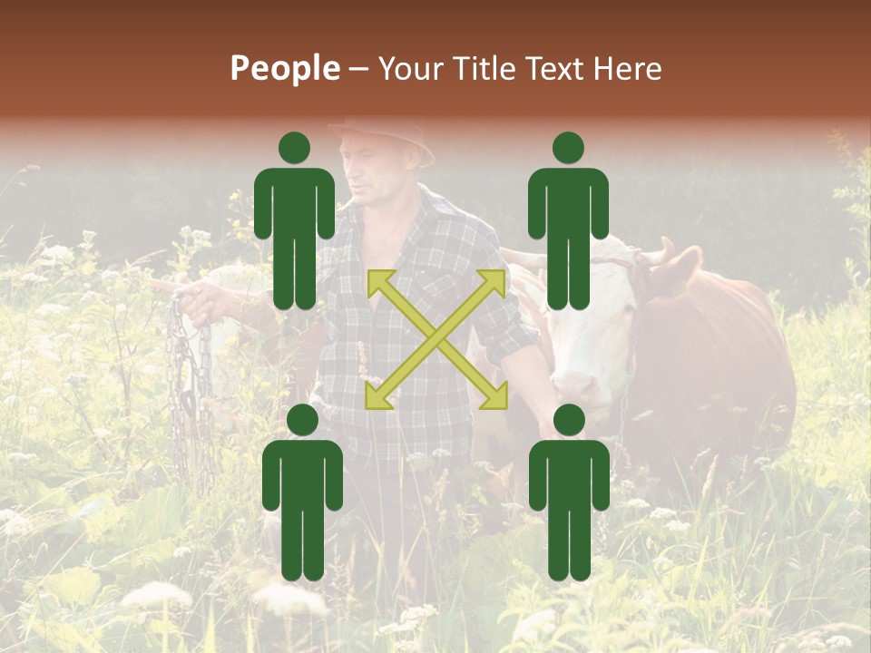 A Man Standing In A Field With A Cow PowerPoint Template