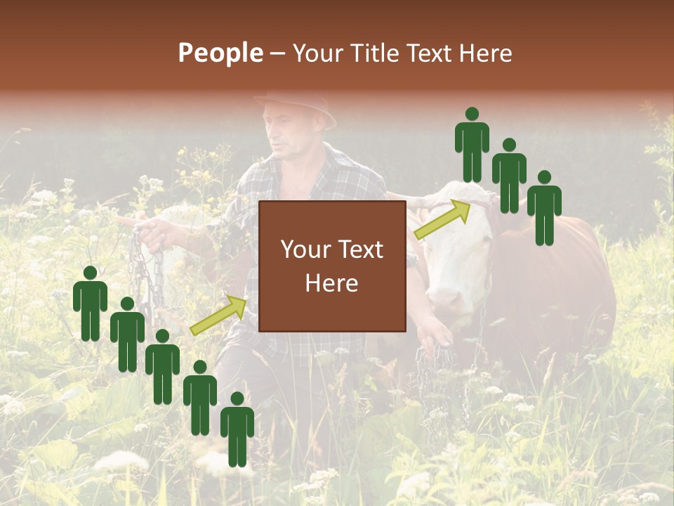 A Man Standing In A Field With A Cow PowerPoint Template