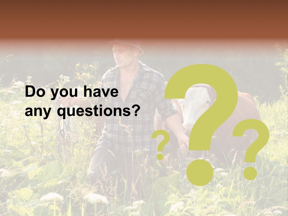 A Man Standing In A Field With A Cow PowerPoint Template