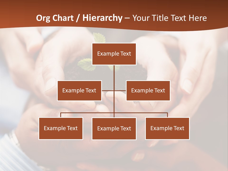A Group Of People Holding A Plant In Their Hands PowerPoint Template