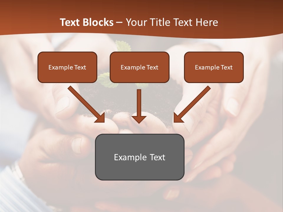 A Group Of People Holding A Plant In Their Hands PowerPoint Template