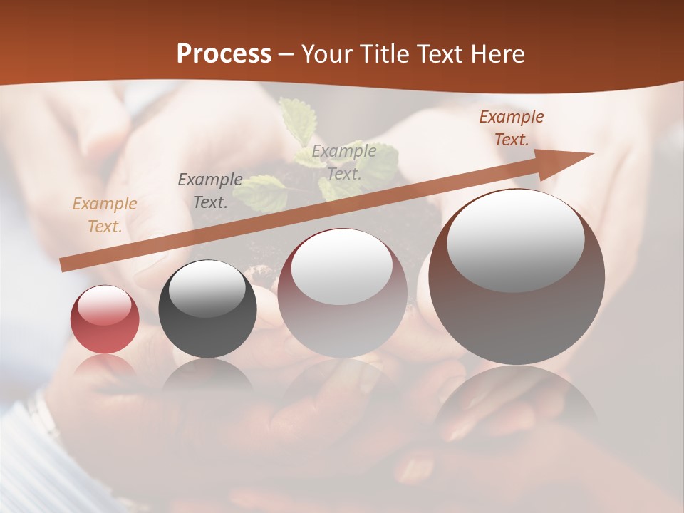 A Group Of People Holding A Plant In Their Hands PowerPoint Template