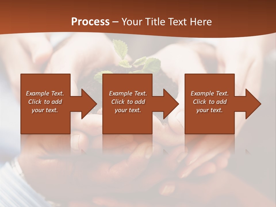 A Group Of People Holding A Plant In Their Hands PowerPoint Template