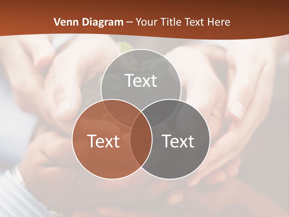 A Group Of People Holding A Plant In Their Hands PowerPoint Template