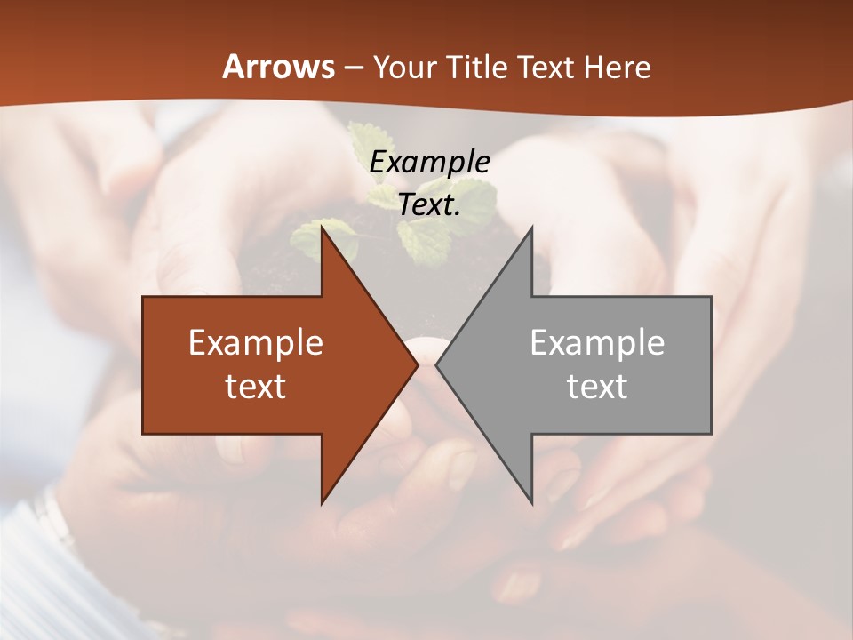 A Group Of People Holding A Plant In Their Hands PowerPoint Template