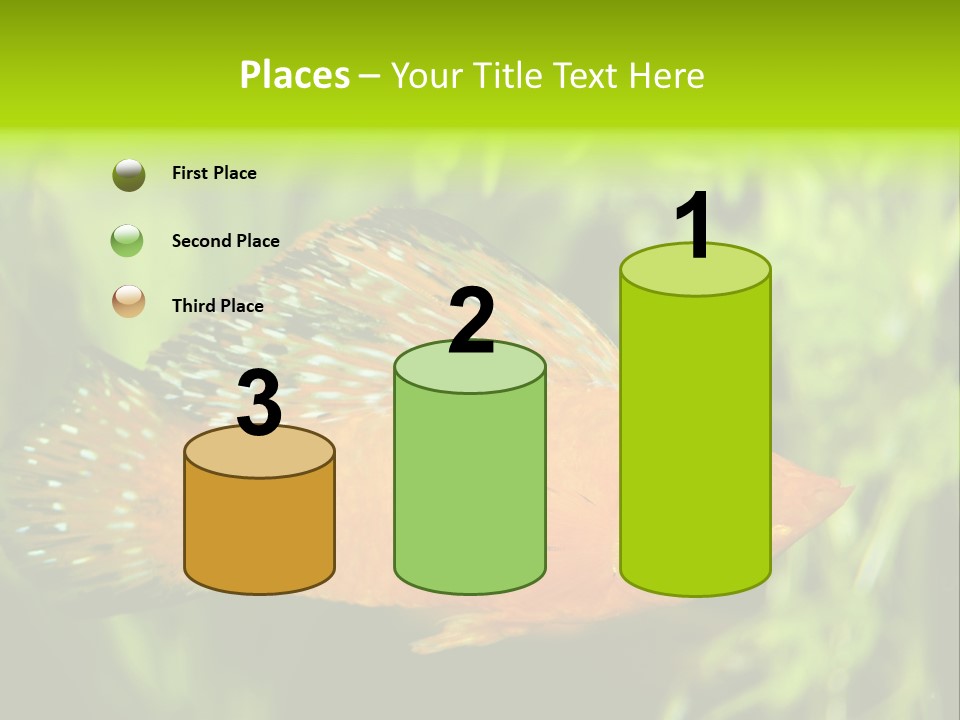 Molly Tropical Velifera PowerPoint Template