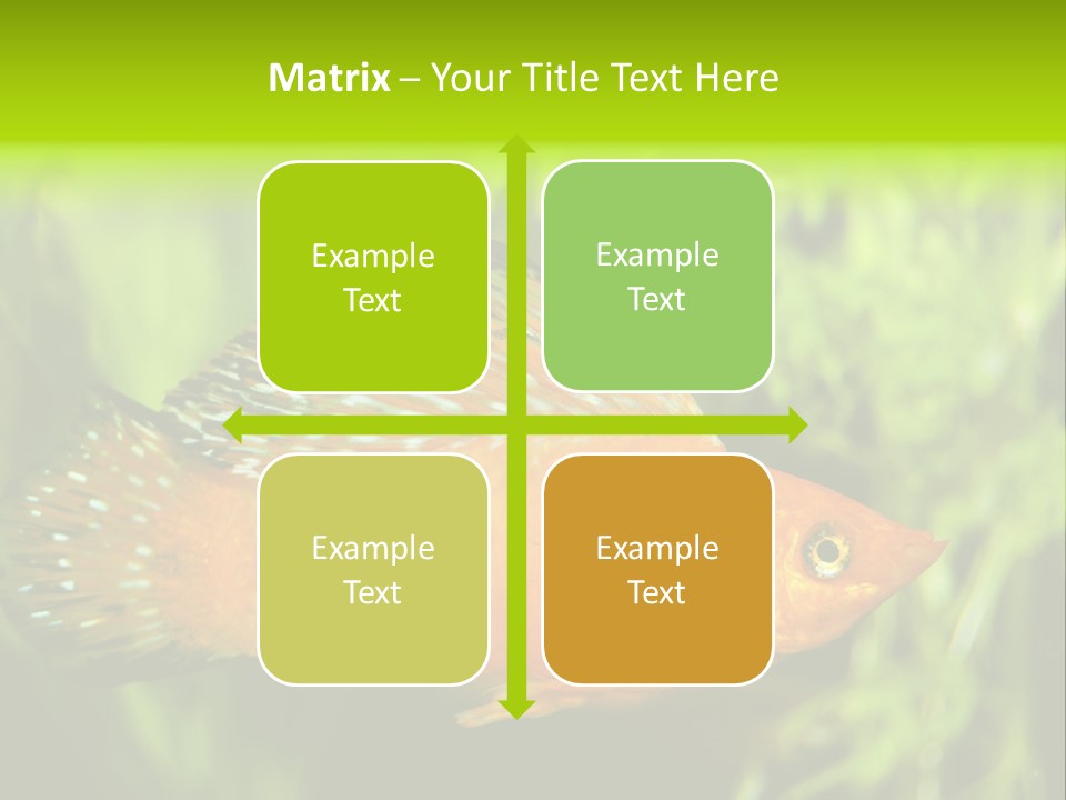 Molly Tropical Velifera PowerPoint Template