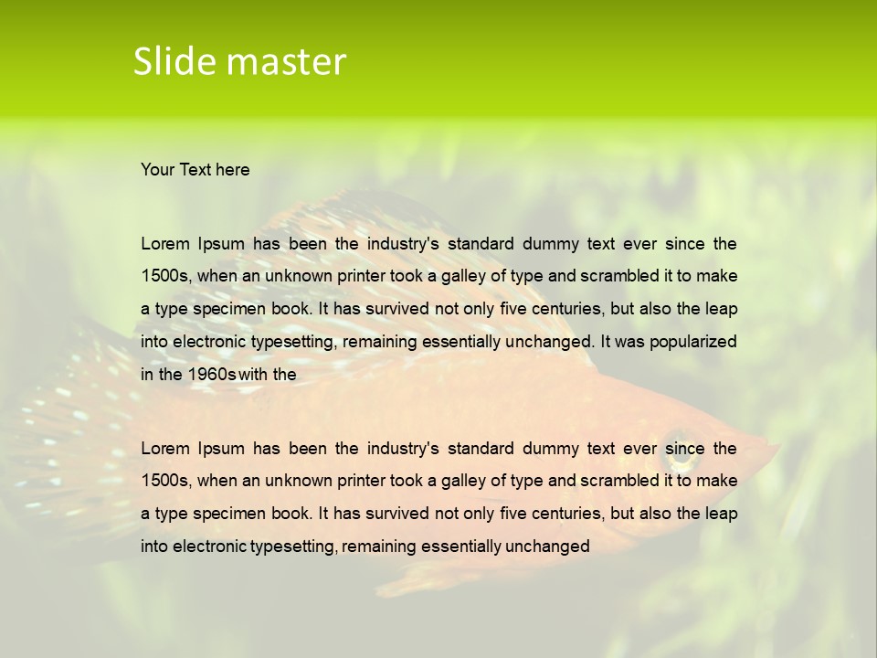 Molly Tropical Velifera PowerPoint Template