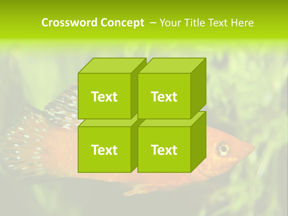 Molly Tropical Velifera PowerPoint Template