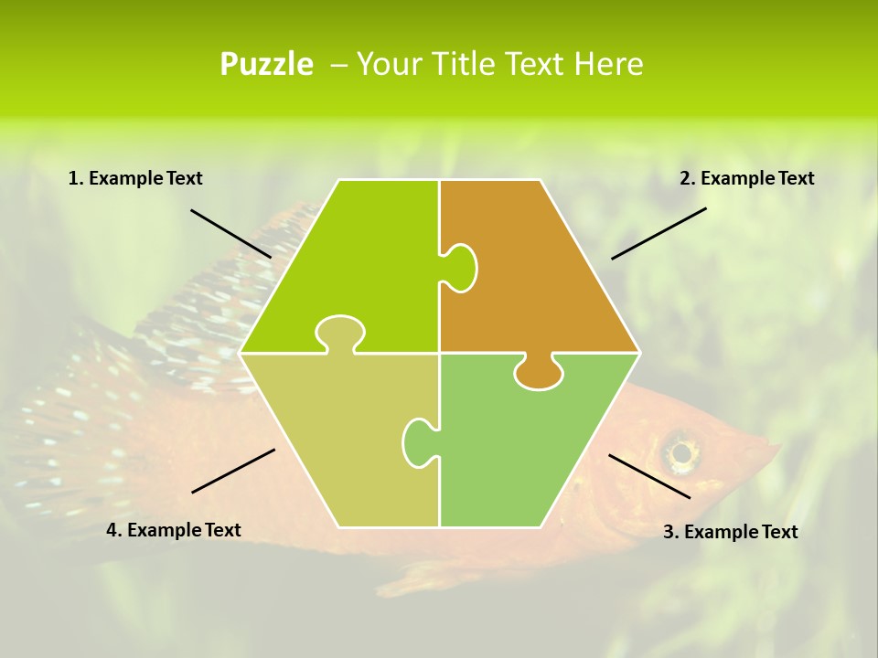 Molly Tropical Velifera PowerPoint Template