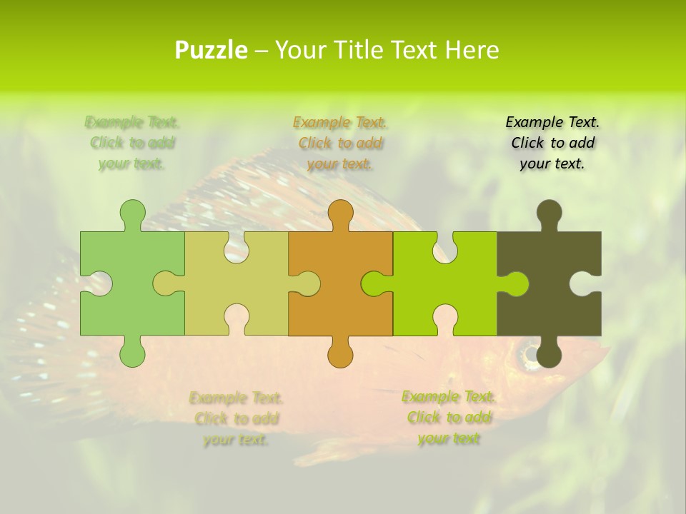 Molly Tropical Velifera PowerPoint Template