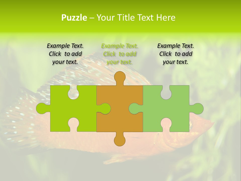 Molly Tropical Velifera PowerPoint Template