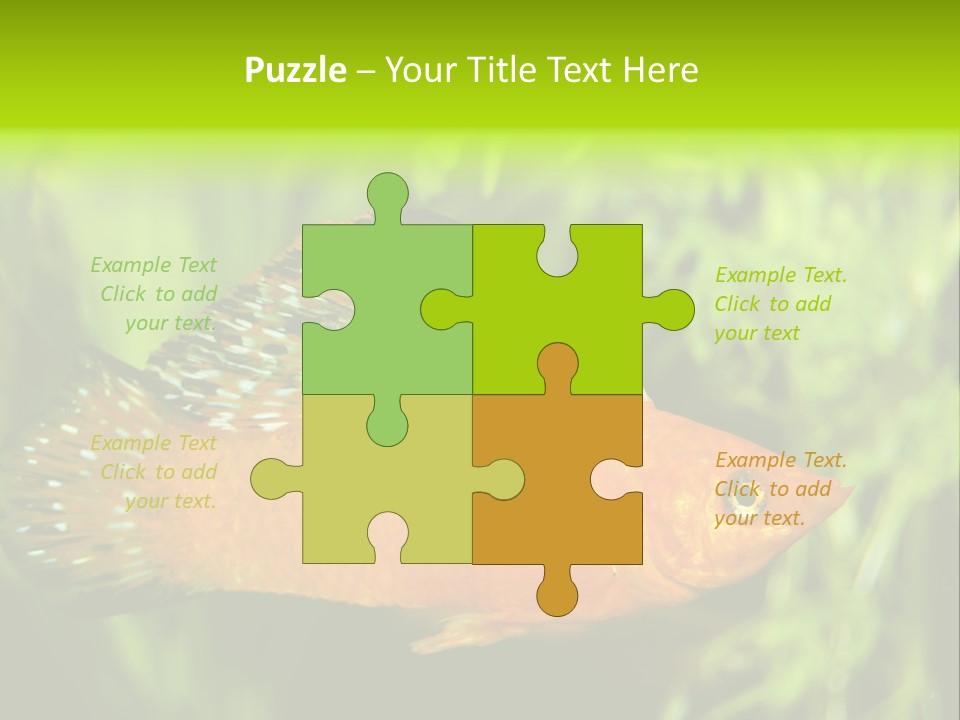 Molly Tropical Velifera PowerPoint Template