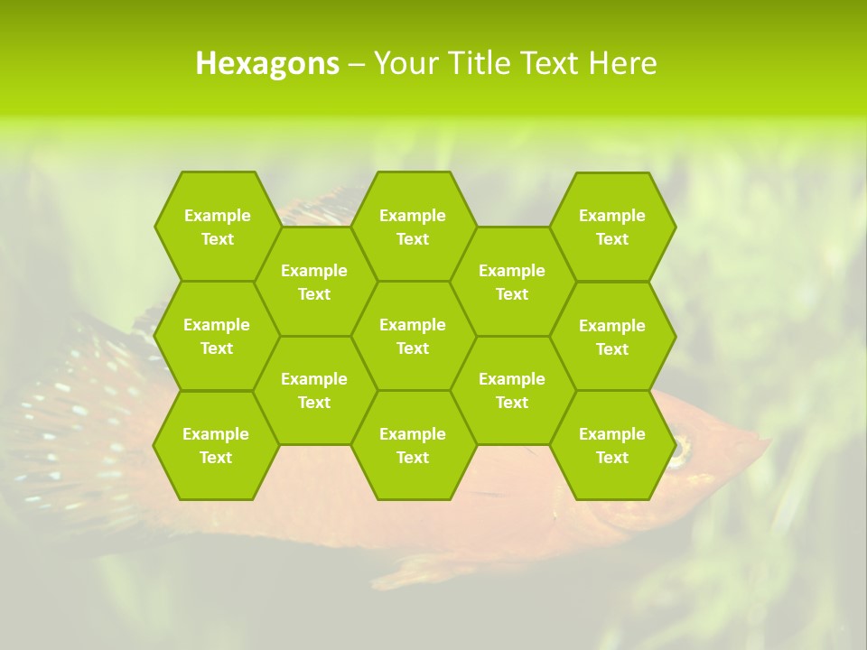 Molly Tropical Velifera PowerPoint Template