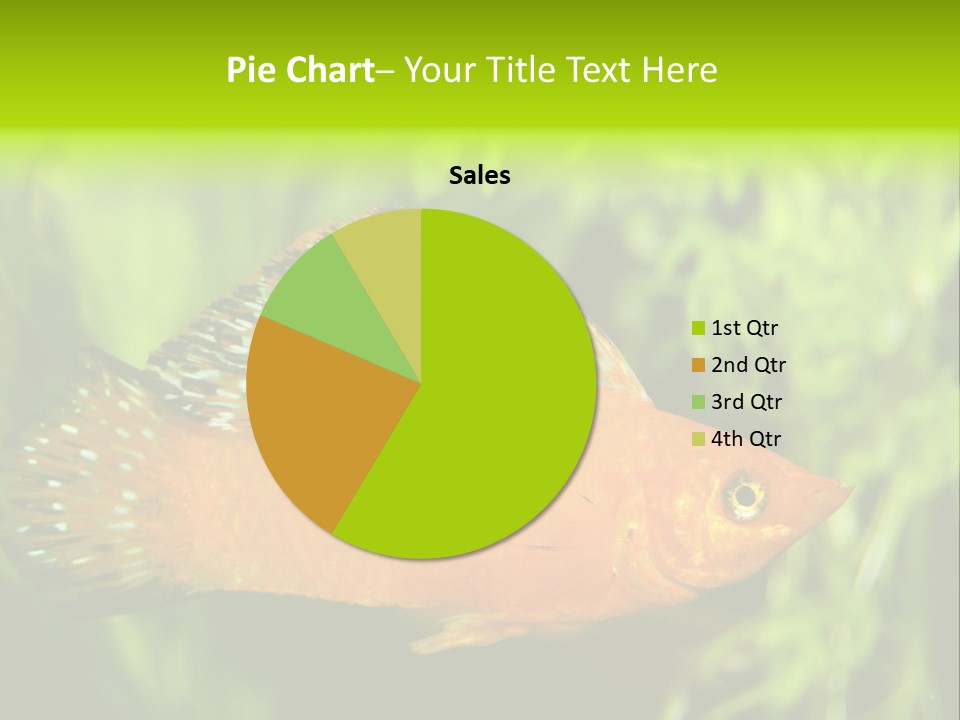 Molly Tropical Velifera PowerPoint Template