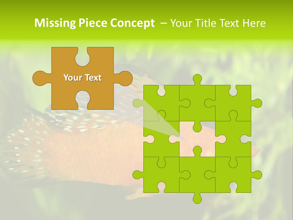 Molly Tropical Velifera PowerPoint Template