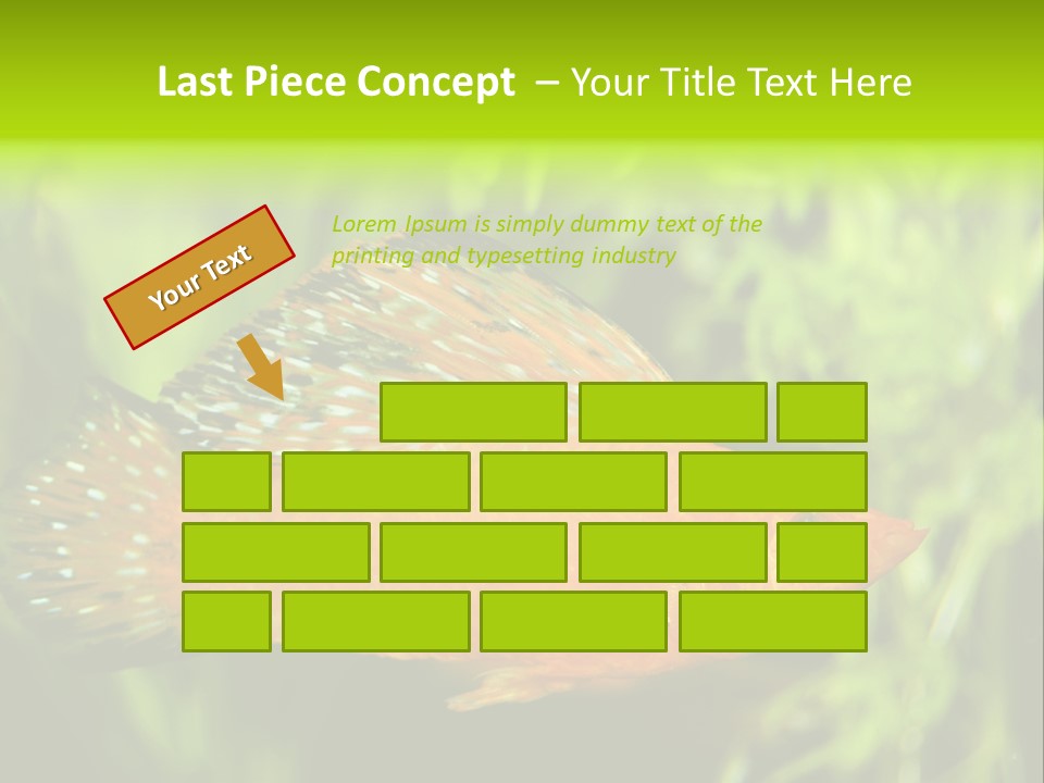 Molly Tropical Velifera PowerPoint Template