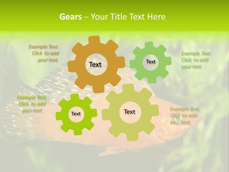 Molly Tropical Velifera PowerPoint Template