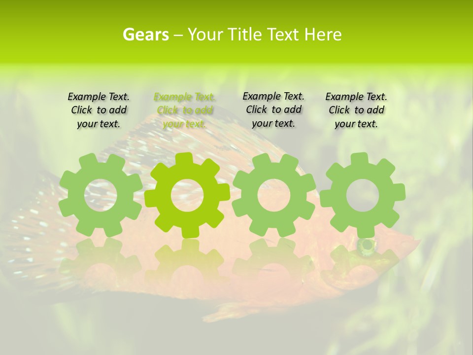 Molly Tropical Velifera PowerPoint Template