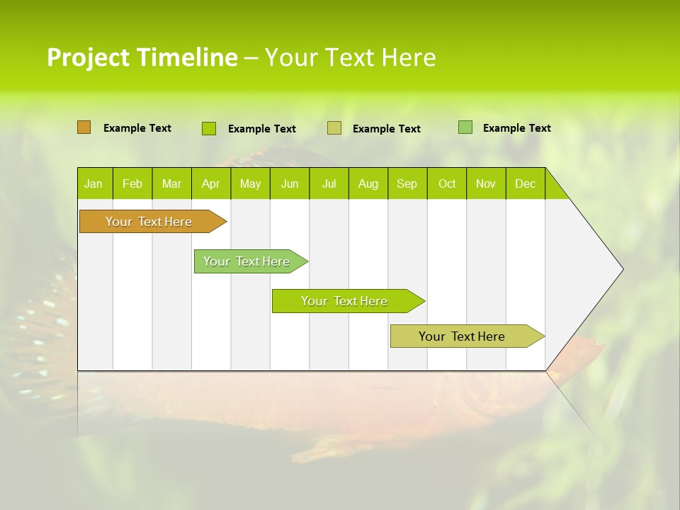 Molly Tropical Velifera PowerPoint Template