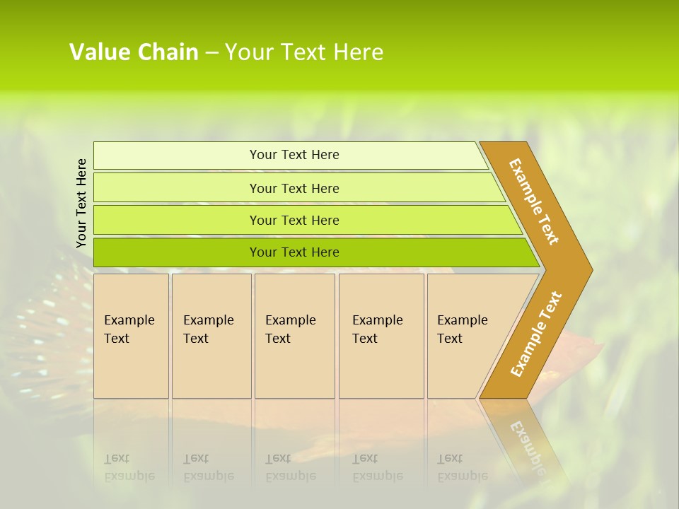 Molly Tropical Velifera PowerPoint Template