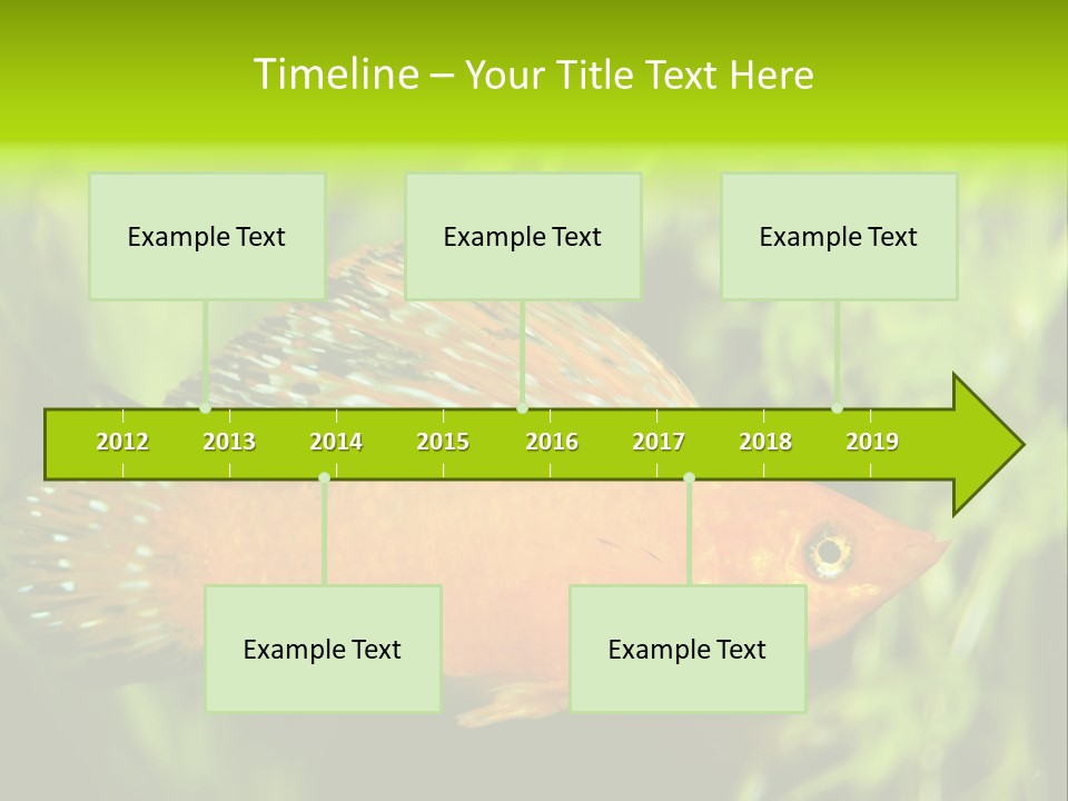 Molly Tropical Velifera PowerPoint Template