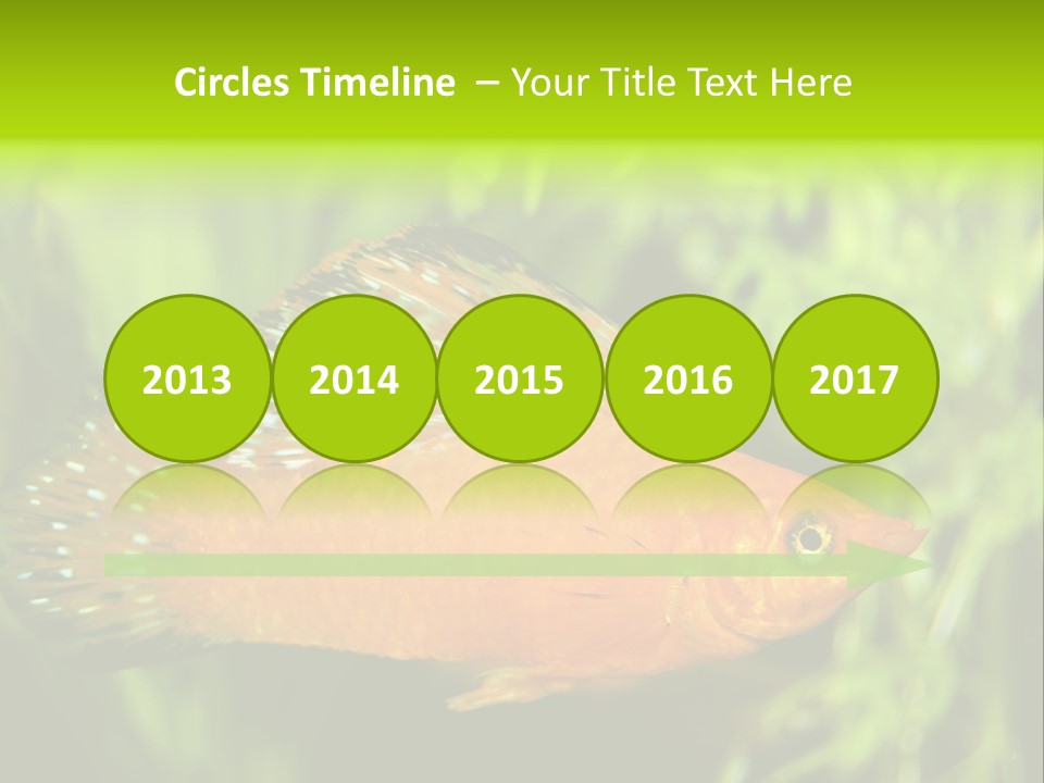 Molly Tropical Velifera PowerPoint Template