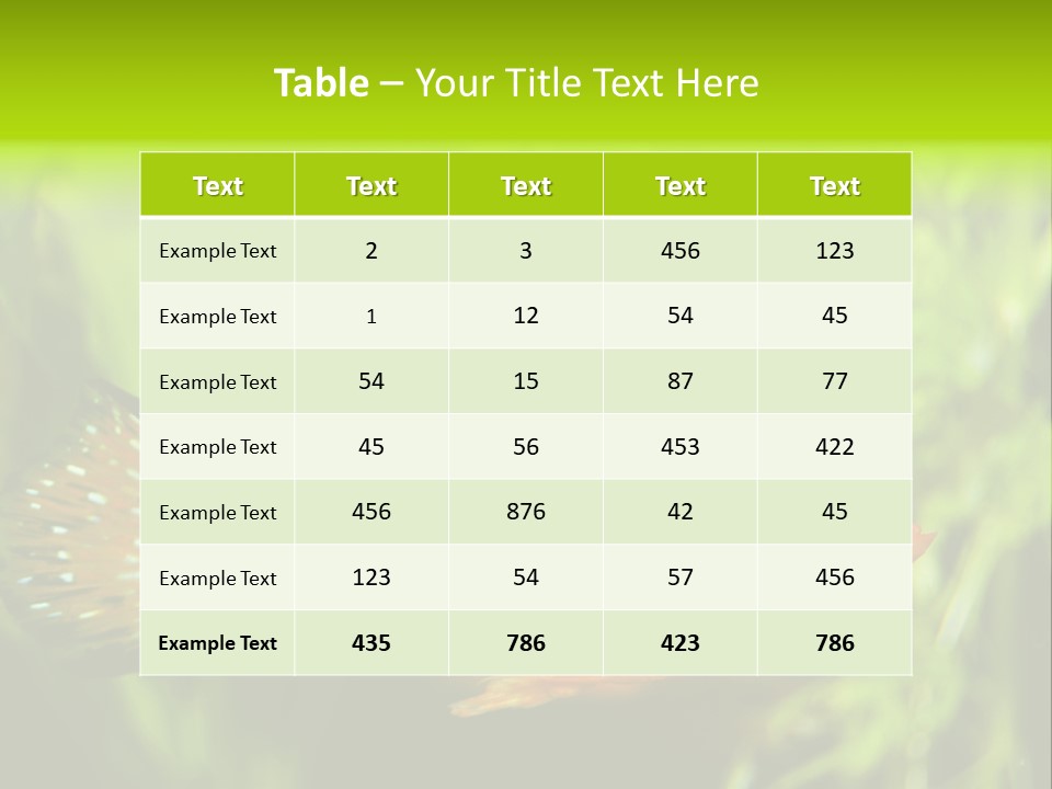 Molly Tropical Velifera PowerPoint Template