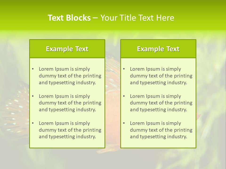 Molly Tropical Velifera PowerPoint Template