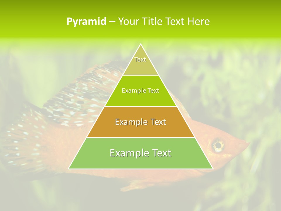 Molly Tropical Velifera PowerPoint Template