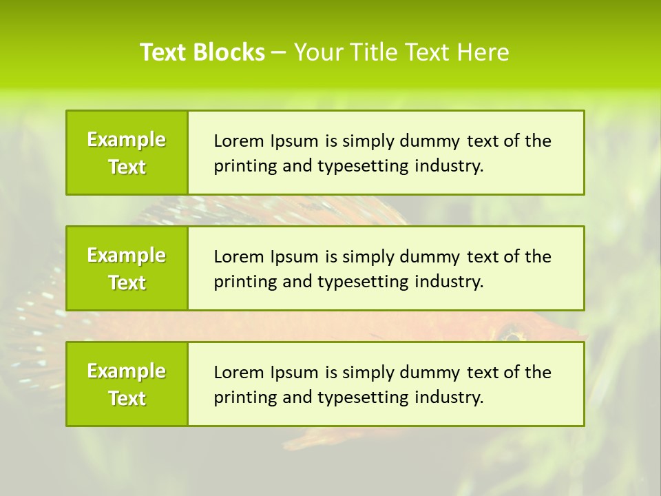 Molly Tropical Velifera PowerPoint Template