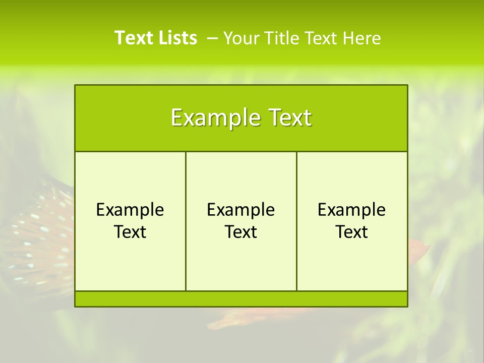 Molly Tropical Velifera PowerPoint Template