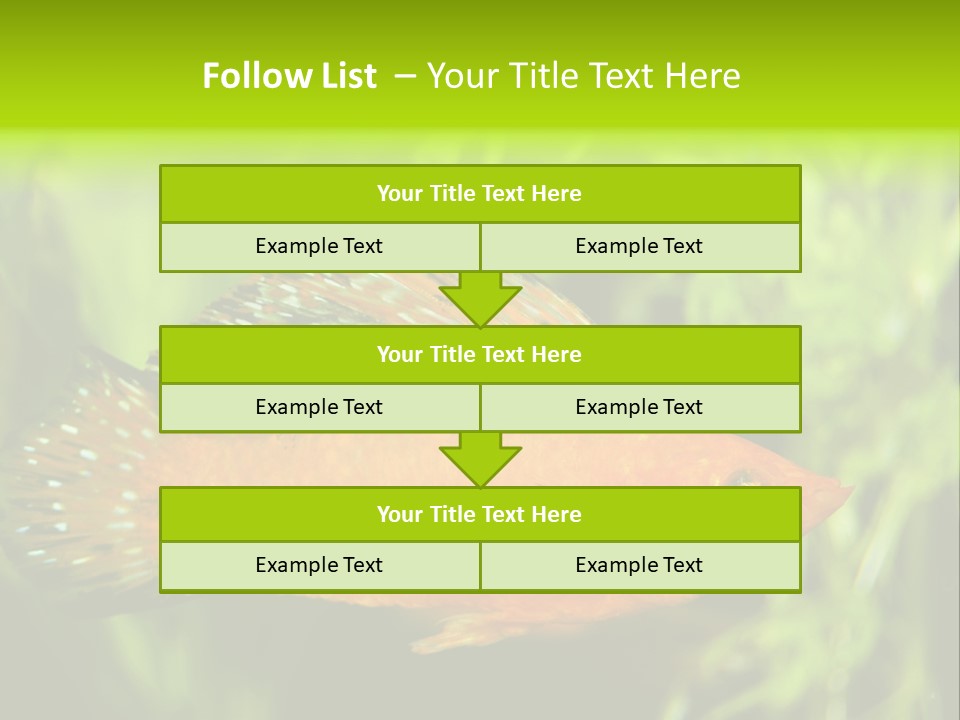 Molly Tropical Velifera PowerPoint Template