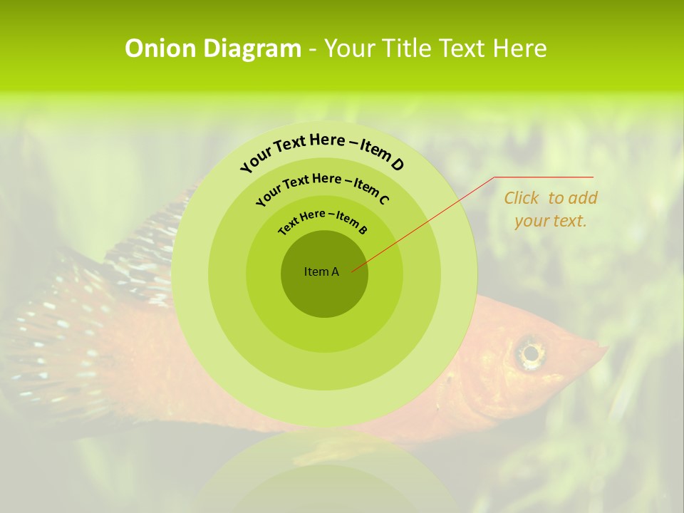 Molly Tropical Velifera PowerPoint Template