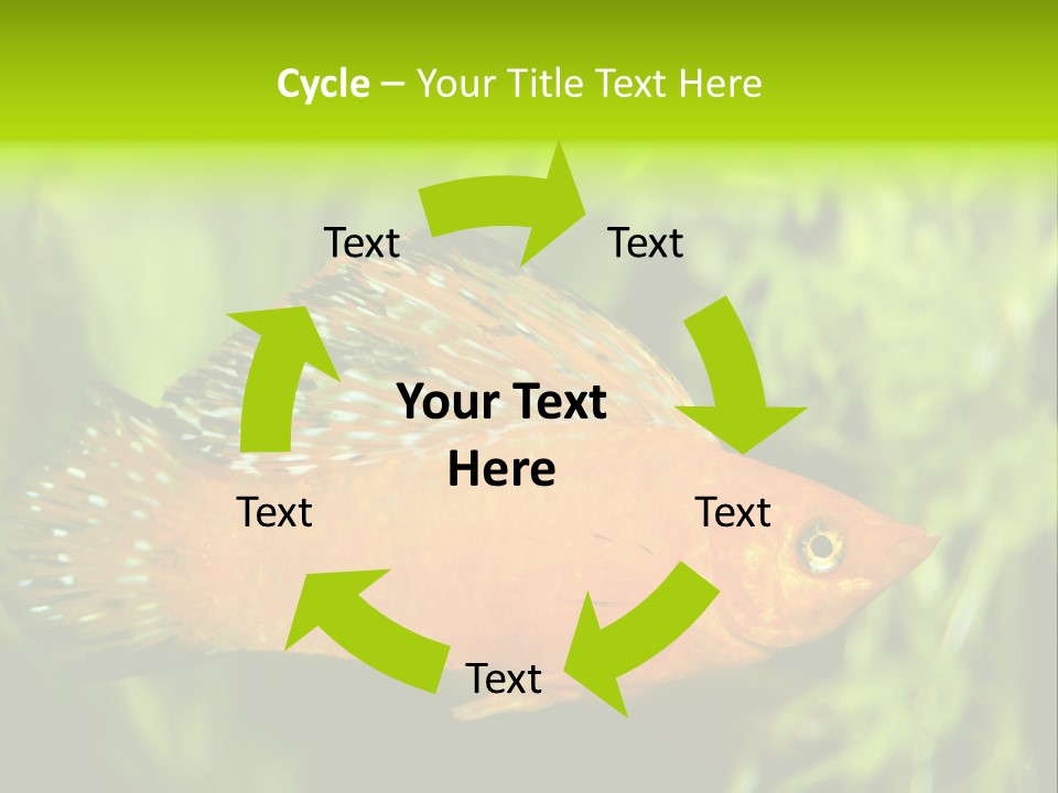 Molly Tropical Velifera PowerPoint Template