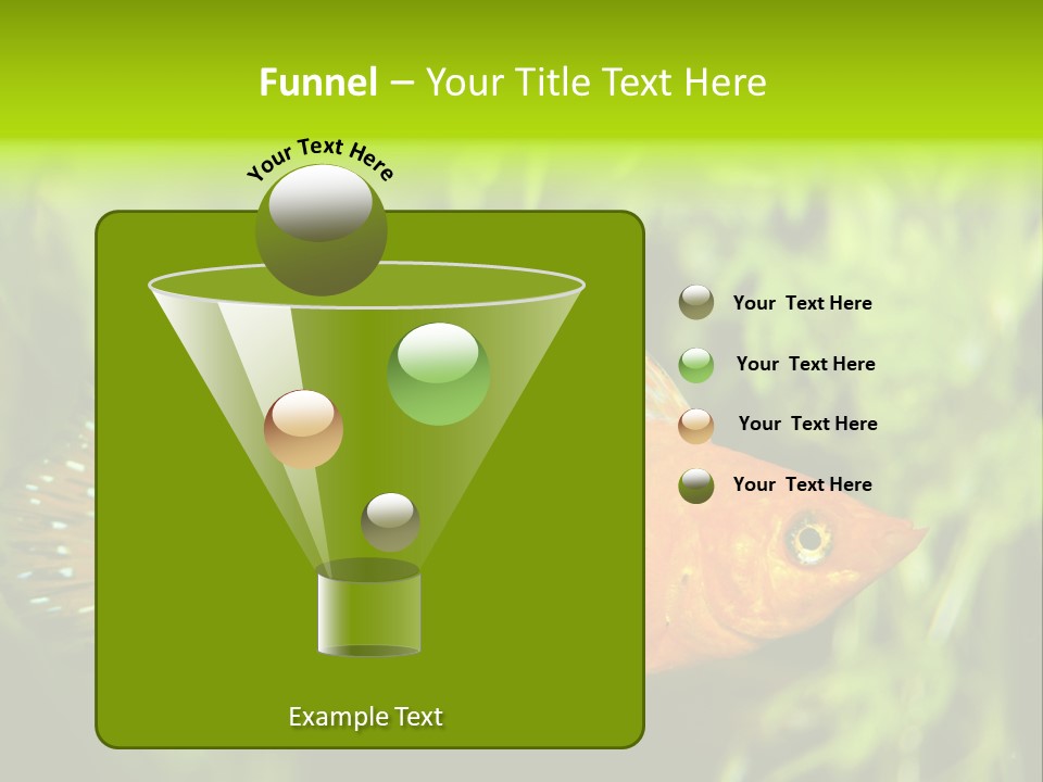 Molly Tropical Velifera PowerPoint Template