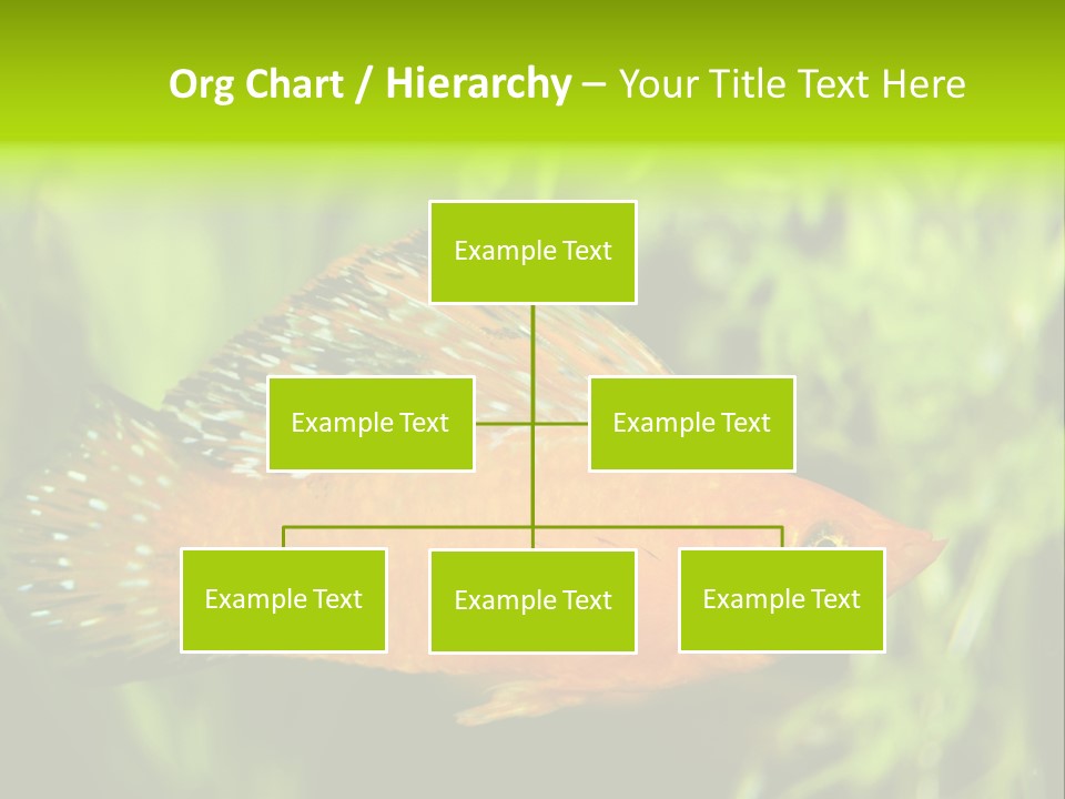 Molly Tropical Velifera PowerPoint Template