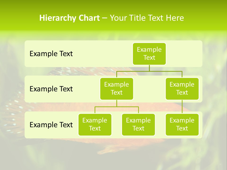 Molly Tropical Velifera PowerPoint Template