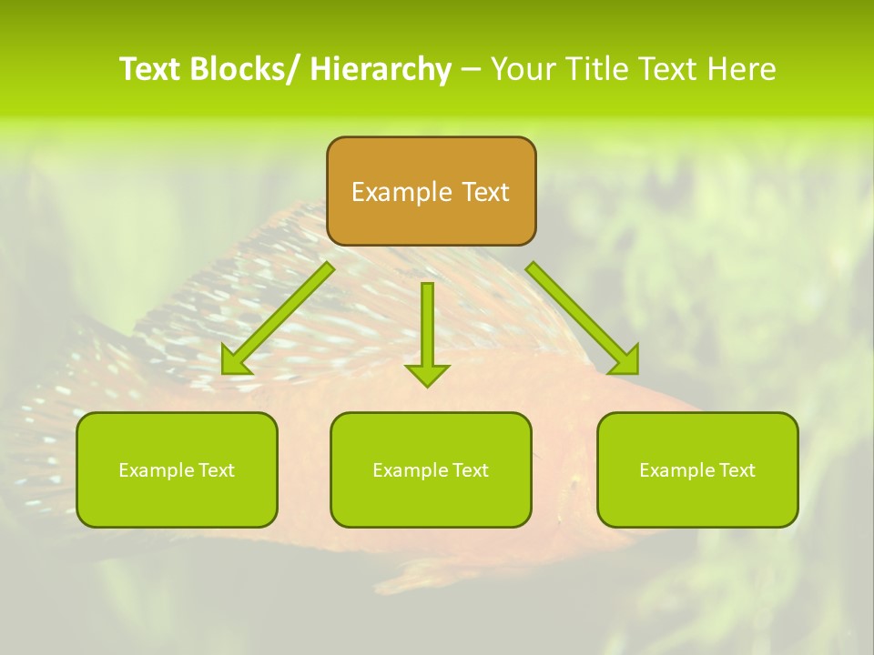Molly Tropical Velifera PowerPoint Template