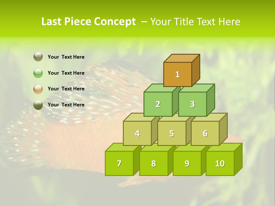 Molly Tropical Velifera PowerPoint Template