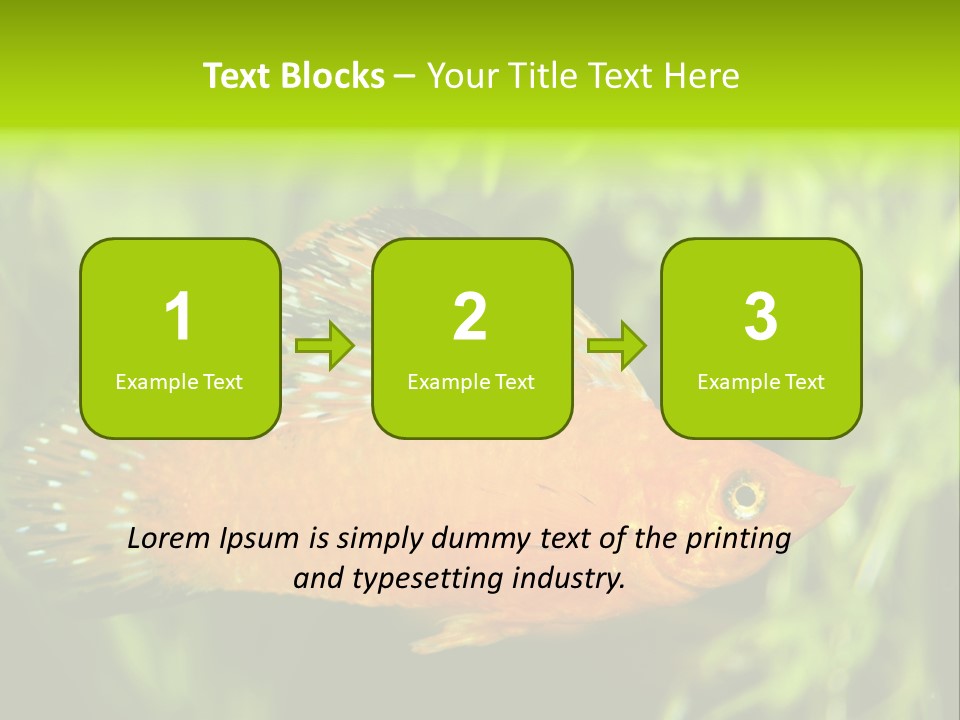 Molly Tropical Velifera PowerPoint Template