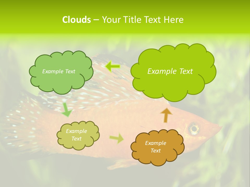 Molly Tropical Velifera PowerPoint Template