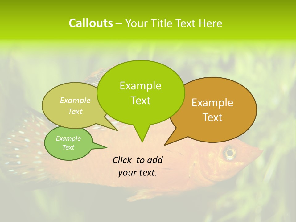 Molly Tropical Velifera PowerPoint Template