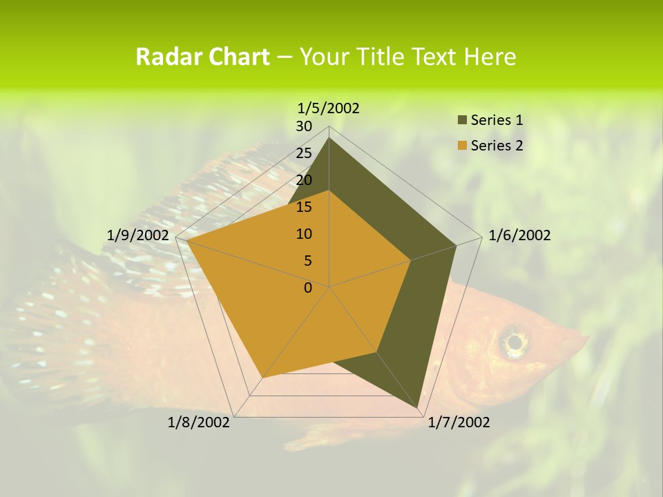 Molly Tropical Velifera PowerPoint Template